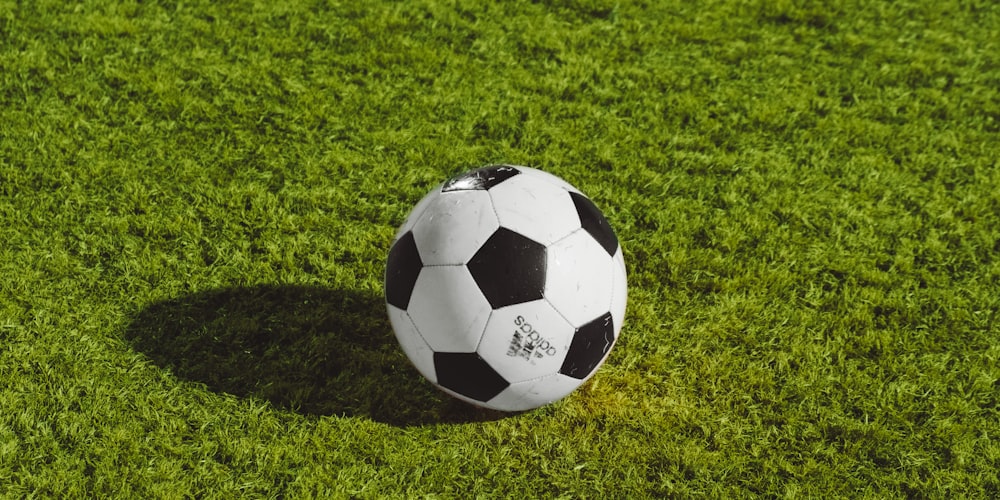 体育场全景俯瞰图，绿茵场与看台座无虚席的壮观场景