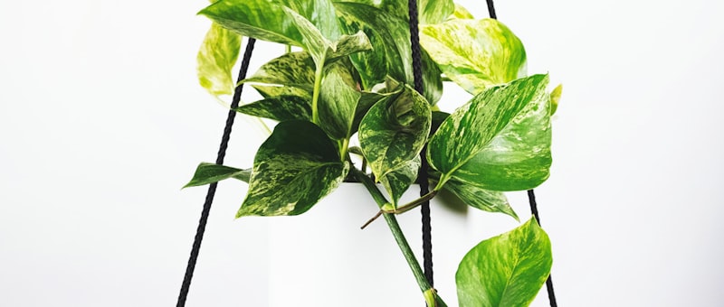 英超联赛曼城对阵利物浦的激烈比赛现场画面